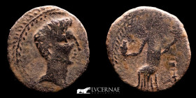Augustus Bronze Semis 4.24 g., 24 mm. Irippo 27 BC.-14 AD. very fine