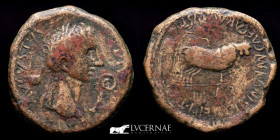 Roman Hispania, Augustus Bronze As 13,36 g. 28 mm. Zaragoza 2 B.C. Very Fine