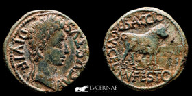 Augustus Bronze As 14.18 g. 30 mm. Celsa (Zaragoza) 2-14 A.D gVF