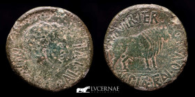 Calagurris (Calahorra) Bronze As Hispania 27 BC-14 AD Good very fine (MBC+)