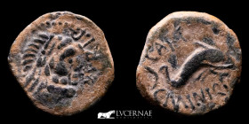 Augustus Bronze Semis 3,80 g, 19 mm Carteia 27B.C-14A.D. gVF