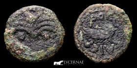 Judaea - Coponius. 6-9 AD Bronze Prutah 2,00 g. 17 mm. Jerusalem 6-9 Good very fine (MBC+)