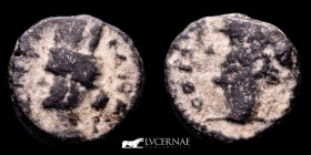 Domitian Æ Bronze Half Unit 1.66 g. 12 mm. Canatha, Decapolis. 94-95 AD VF