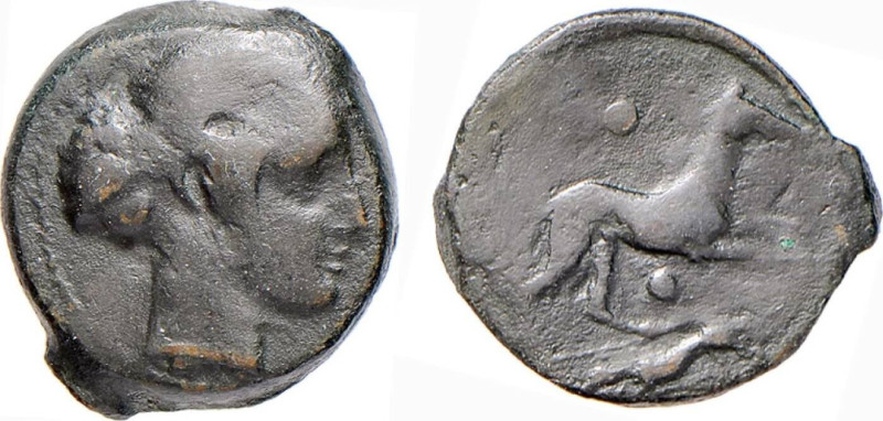 SICILIA - SEGESTA (circa 430-409 a.C.) BRONZO gr.5,7 - D/Testa di Ninfa a d. R/S...