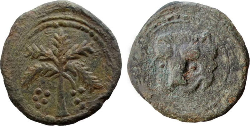 PALERMO (o Messina) - GUGLIELMO II (1166 -1189) FOLLARO gr.10,8 - D/Testa fronta...