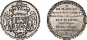 VELLETRI - PIO IX (1846-1878) MEDAGLIA AR - ANNO 1869 - 50° Anniversario ordinazione sacerdotale del Pontefice - D/Stemma di Velletri con aquila bicip...
