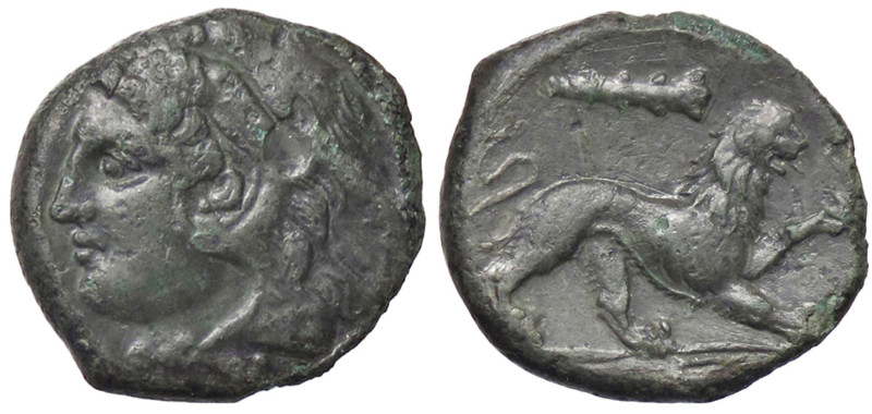 GRECHE - SICILIA - Messana - AE 23 S. Ans. 396/8 (AE g. 4,71)

Status: SPL