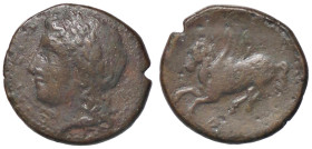 GRECHE - SICILIA - Siracusa - Agatocle (317-289 a.C.) - AE 18 (AE g. 4,8)

Status: qBB