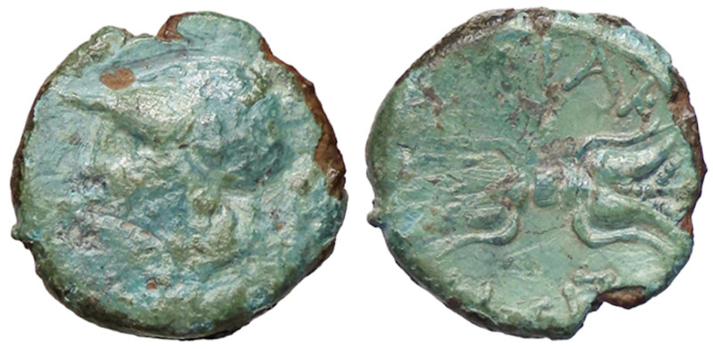 GRECHE - SICILIA - Siracusa - Agatocle (317-289 a.C.) - AE 14 S. Cop. 776 (AE g....