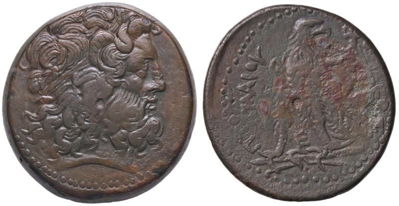 GRECHE - RE TOLEMAICI - Tolomeo III, Euergete (246-221 a.C.) - AE 36 Sear 7815 (...