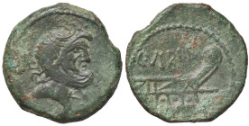 ROMANE REPUBBLICANE - VIBIA - C. Vibius C. F. Pansa (90 a.C.) - Semisse Cr. 342/8a (AE g. 4,95)

Status: qSPL