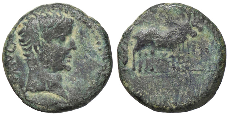 ROMANE PROVINCIALI - Tiberio (14-37) - AE 17 (Parium) S. Cop. 283 (AE g. 3,62)
...