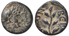ROMANE PROVINCIALI - Adriano (117-138) - AE 10 (Cyrrhestica-Beroea) (AE g. 1,35)

Status: BB