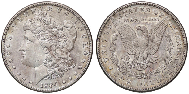 ESTERE - U.S.A. - Dollaro 1884 - Morgan Kr. 110 AG Segni al D/

Status: BB-SPL...