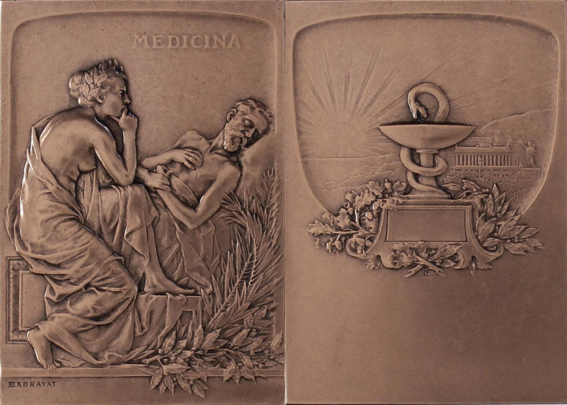 MEDAGLIE ESTERE - FRANCIA - Terza Repubblica (1870-1940) - Medaglia Medicina AE ...