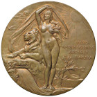 MEDAGLIE ESTERE - FRANCIA - Terza Repubblica (1870-1940) - Placchetta uniface 1893 AE Ø 68

Status: SPL