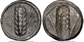 LUCANIA. Metapontum. Ca. 510-470 BC. AR stater (24mm, 12h). NGC Choice VF. META (retrograde), grain ear; guilloche border on raised rim / Incuse grain...