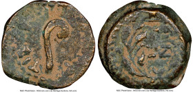 JUDAEA. Roman Procurators. Pontius Pilate (AD 26-36). AE prutah (14mm, 12h). NGC VF. Jerusalem, dated Regnal Year 17 of Tiberius (AD 30). TIBEPIOY KAI...