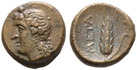 Lukania. Metapont. 

AE-15 mm 300-250 v. Chr. Kopf des jugendlichen Dionysos mit sechsblättrigem Efeukranz mit Korymbos nach links / Gerstenähre mit...
