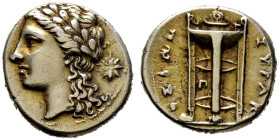 Sizilien. Syrakus. Agathokles 317-289 v. Chr. 

EL-50 Litren 310-305 v. Chr. Kopf des Apollon mit langem Haar und Lorbeerkranz nach links, dahinter ...