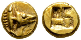Mysia. Kyzikos. 

EL-1/12 Stater ca. 600-550 v. Chr. Thunfischkopf mit offenem Maul nach rechts, dahinter kleiner Thunfisch senkrecht / Viergeteilte...