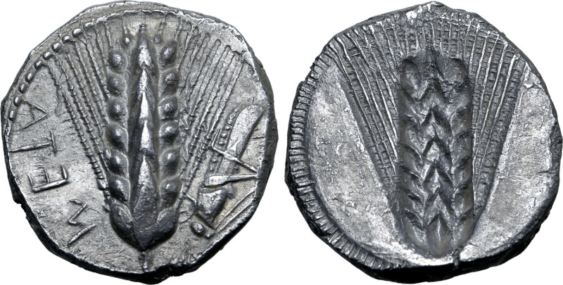 Lucania, Metapontion AR Stater. Circa 470-440 BC. Ear of barley with seven grain...