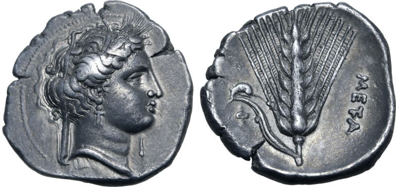 Lucania, Metapontion AR Stater. Circa 340-330 BC. Phi-, magistrate. Wreathed hea...