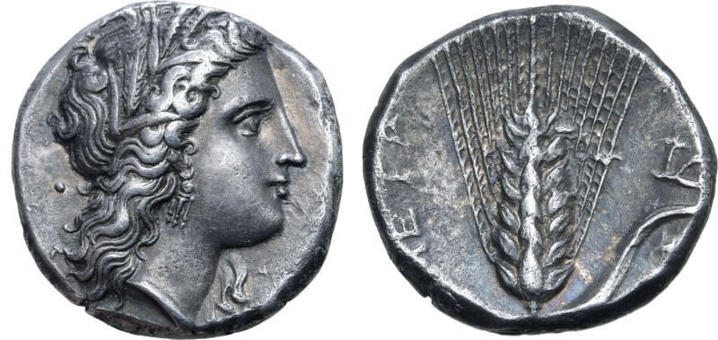 Lucania, Metapontion AR Stater. Circa 330-290 BC. Dai-, and Mach-, magistrates. ...