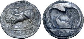 Lucania, Sirinos (Siris) in alliance with Pyxoes (Pixos) AR Stater.