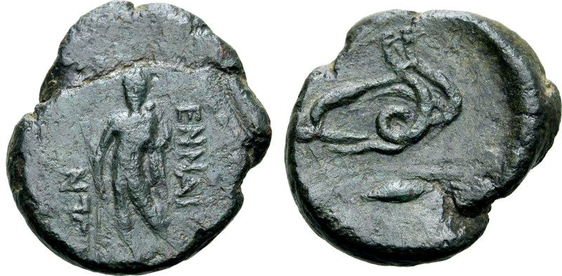 Sicily, Enna Æ 22mm. Circa 204-186/0 BC. Triptolemos standing facing, holding sc...