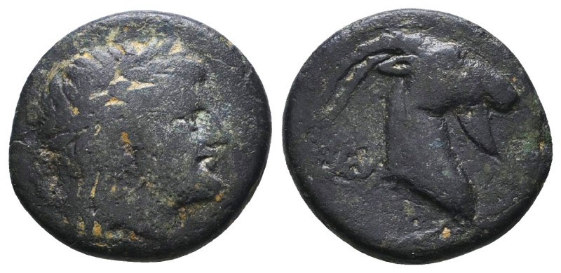 Greek Coins. 4th - 1st century B.C. AE
Reference:
Condition: Very Fine
W :4.3...