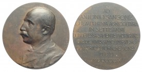 Cremona - Medaglia in onore a Antonio Sansone insegnante della cattedra di agricoltura 1904, opus Johnson, Br, 56mm, 84g, R, SPL