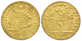 Roma, Pio VI, Doppia 1793, Au mm 23 g 5,47, porosità altrimenti BB