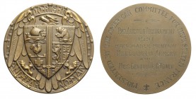 Switzerland - Medaglia omaggio del comitato americano per la Francia devastata 1921, Br, 63mm, 98g, R, SPL+