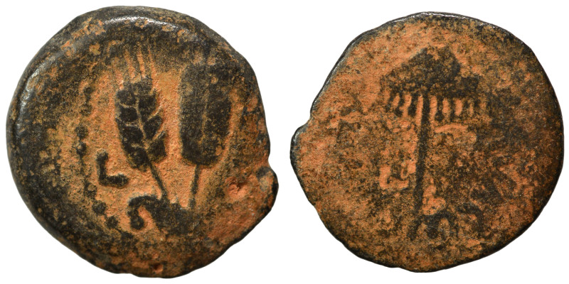 JUDAEA. Herodians. Agrippa I, 37-43. Prutah (bronze, 2.83 g, 17 mm), Jerusalem. ...