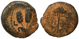 JUDAEA. Herodians. Agrippa I, 37-43. Prutah (bronze, 2.83 g, 17 mm), Jerusalem. Umbrella-like canopy with fringes. Rev. Three grain ears; L ς (date) f...
