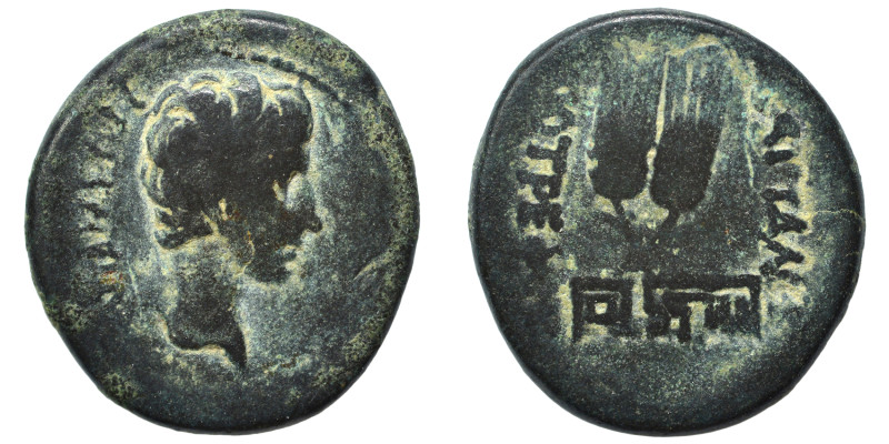 PHRYGIA. Apameia. Augustus, 27 BC-AD 14. Assarion (bronze, 5.95 g, 21 mm), Attal...