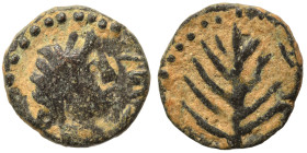 SYRIA, Seleucis and Pieria (?). Uncertain. Ae (bronze, 0.99 g, 10 mm). Head right. Rev. Branch, pelleted border around. Cf. Sol Numismatik IV, lot 67....