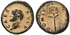 Domitian, as Caesar, 69-81. Quadrans (bronze, 1.98 g, 17 mm), Rome mint, for Syria. CAES AVG F Laureate head of Domitian to left. Rev. DOMIT [COS II] ...
