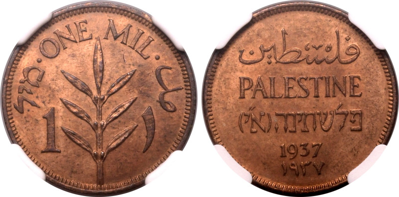 Middle East & Near East » Palestine
Palestine 1937, Mil. Graded MS 64 RB by NGC...