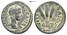 Roman Provincial coin (5.55g 20mm)