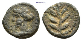 Roman Provincial coin (1.18g 11mm)