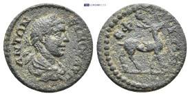 Roman Provincial coin (2.62g 17mm)