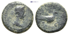 Roman Provincial coin (2.88g 14mm)