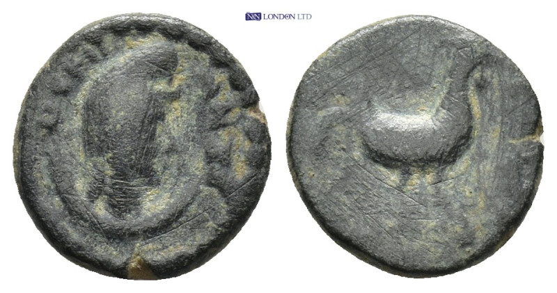 Roman Provincial coin (1.8g 12mm)