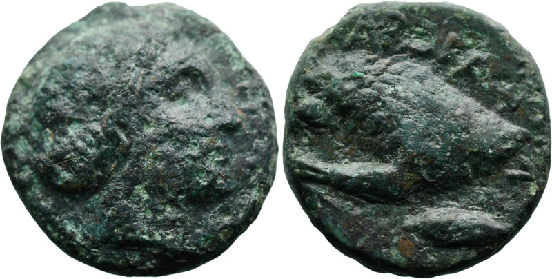 Greek
THRACE. Kardia. (Circa 350-309 BC)
AE Bronze (15.3mm 4.09g)