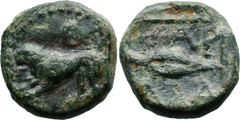 Greek
THRACE. Kardia. (Circa 350-309 BC).
AE Chalkous (11.6mm 1.34g)