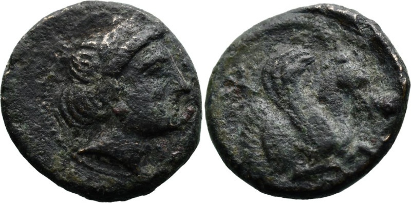 Greek
MYSIA. Lampsakos. (4th-3rd centuries BC)
AE Bronze (11.3mm 1.32g)