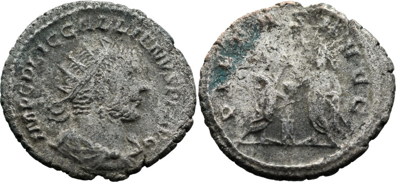 Roman Imperial
Gallienus (253-268 AD). Samosata
Antoninianus (22.6mm 3.84g)