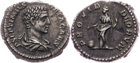 Geta, Denar 209-211, PROVID DEORVM